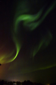 Foto: Wolf - Harald Liebig, 10.05.2008