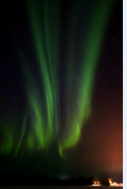 Foto: Wolf - Harald Liebig, 10.05.2008