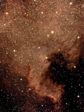 Foto: Martin Kulisch, Steffen Noack